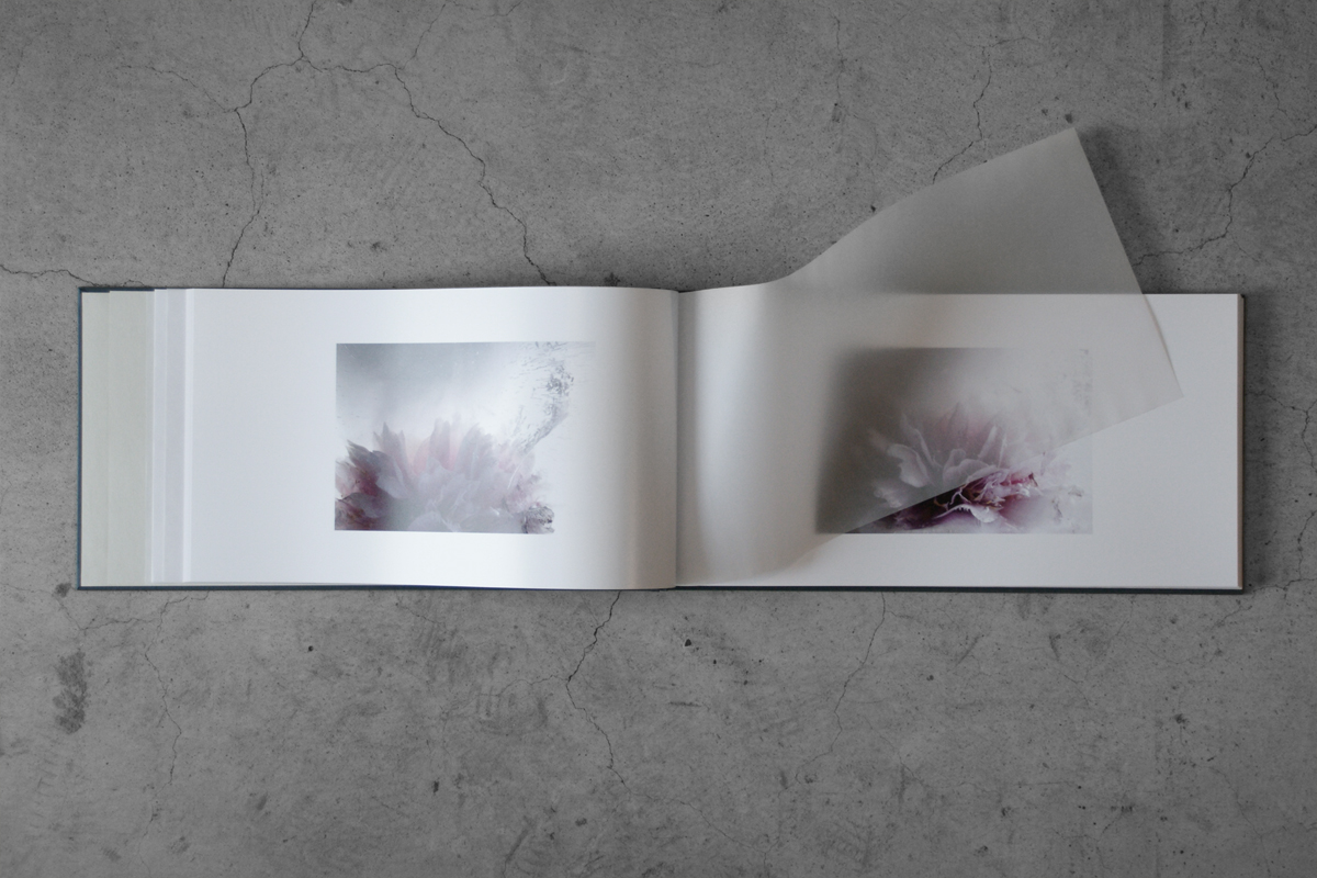 A limited-edition photo book by Namiko Kitaura