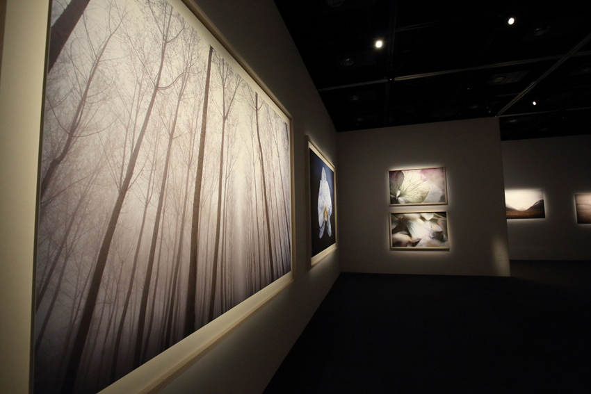 exhibition of Namiko Kitaura sponsored by Canon