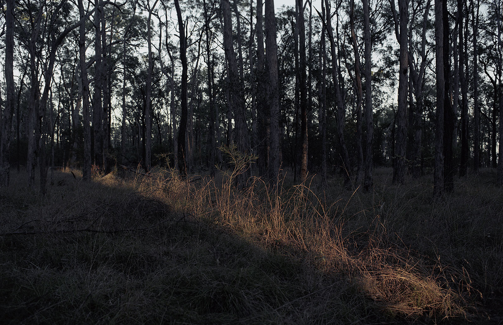 Landscape photography shot in Australia by Namiko Kitaura